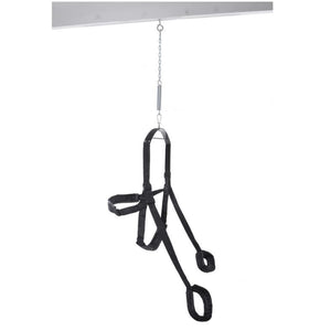 Swings